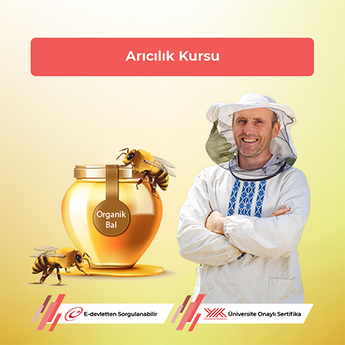Arıcılık Kursu